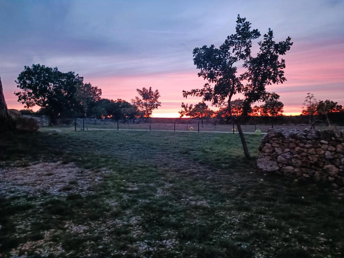 Willa Tenuta Tedone Consolini Ruvo di Puglia Zewnętrze zdjęcie