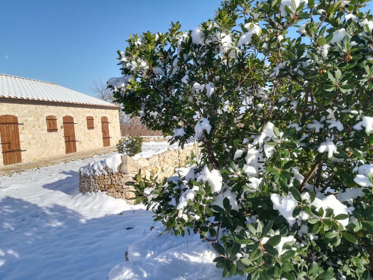 Willa Tenuta Tedone Consolini Ruvo di Puglia Zewnętrze zdjęcie